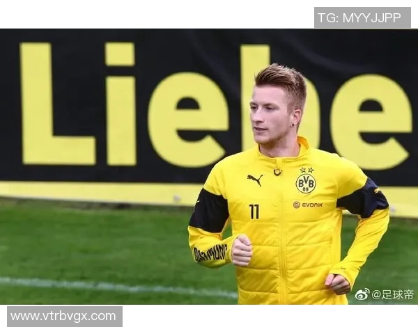 德国足球球员星级排名分析及表现评估榜单